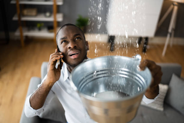  New Chicago, IN Water damage restoration Pros