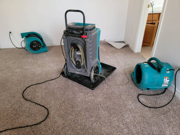 Best Water damage contractors near me  in New Chicago, IN