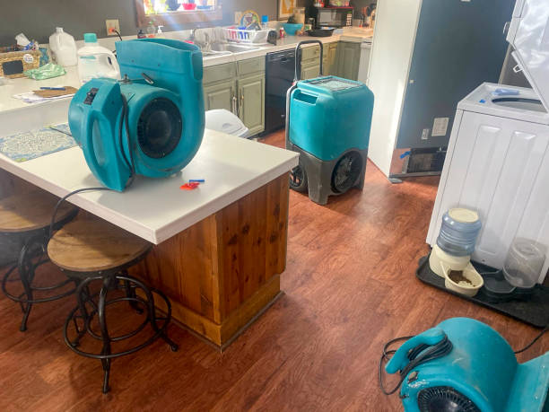 Best Water damage repair service  in New Chicago, IN