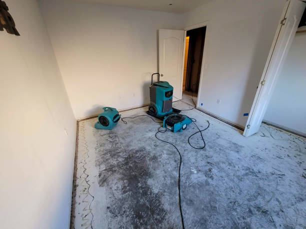 Best Professional water damage repair  in New Chicago, IN