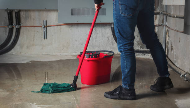 Reliable New Chicago, IN Water damage restoration Solutions