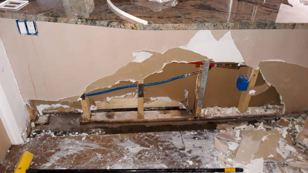 Best Water damage cleanup near me  in New Chicago, IN