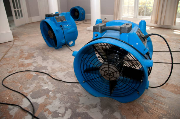 Best Flooded house restoration  in New Chicago, IN