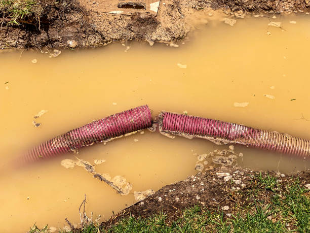 Best Sewage cleanup and water damage restoration  in New Chicago, IN